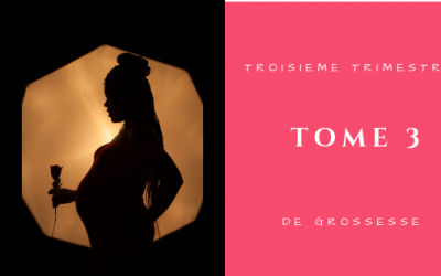 TOME 3:TROISIEME TRIMESTRE DE GROSSESSE